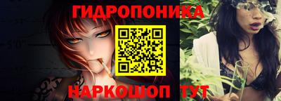 соль ск Гатчина